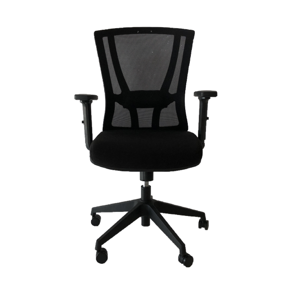 Ergonomic Mid Mesh Back Chair with Adjustable Armrest