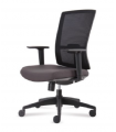 Ergonomic Mid Mesh Back Chair with Adjustable Armrest