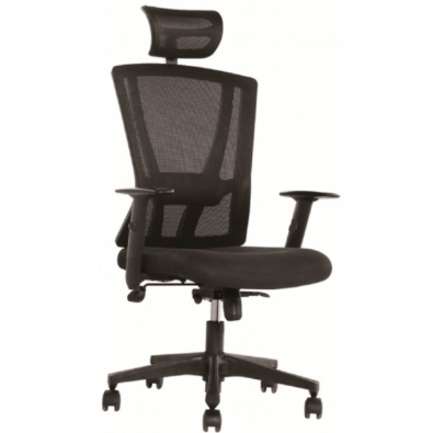 Ergonomic High Mesh Back Chair with Adjustable Armrest