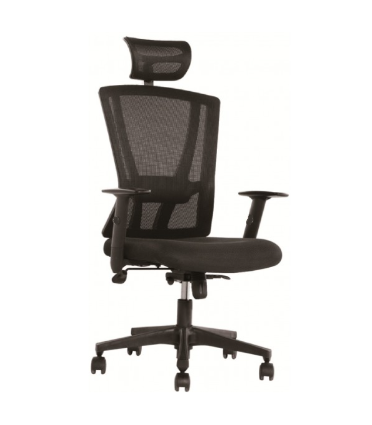 Ergonomic High Mesh Back Chair with Adjustable Armrest