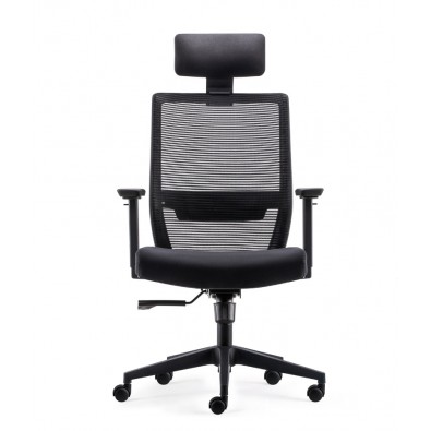 Ergonomic High Mesh Back Chair with Adjustable Armrest