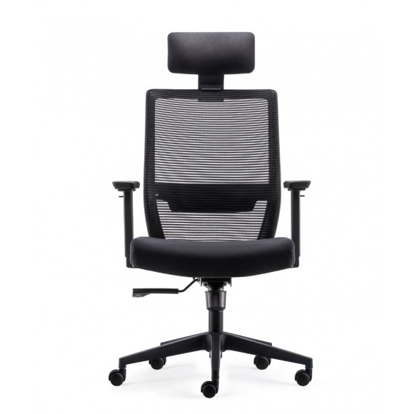 Ergonomic High Mesh Back Chair with Adjustable Armrest